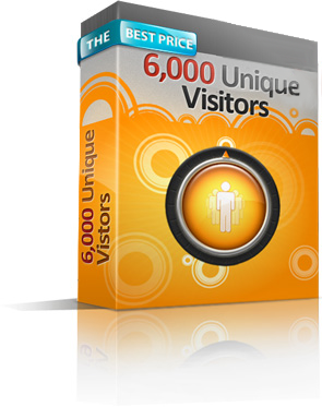 6000 Unique Visitors